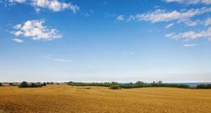 Алтайский край собрал рекордный за последние годы урожай зерна
