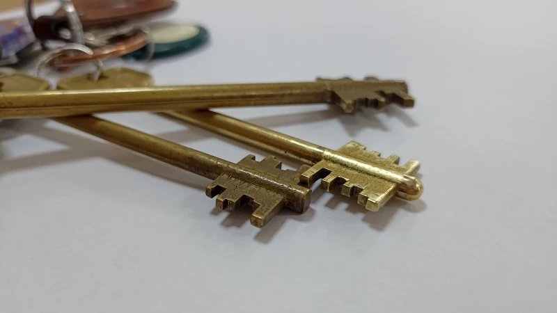 Бастрыкин проверяет дело сироты из Алтая