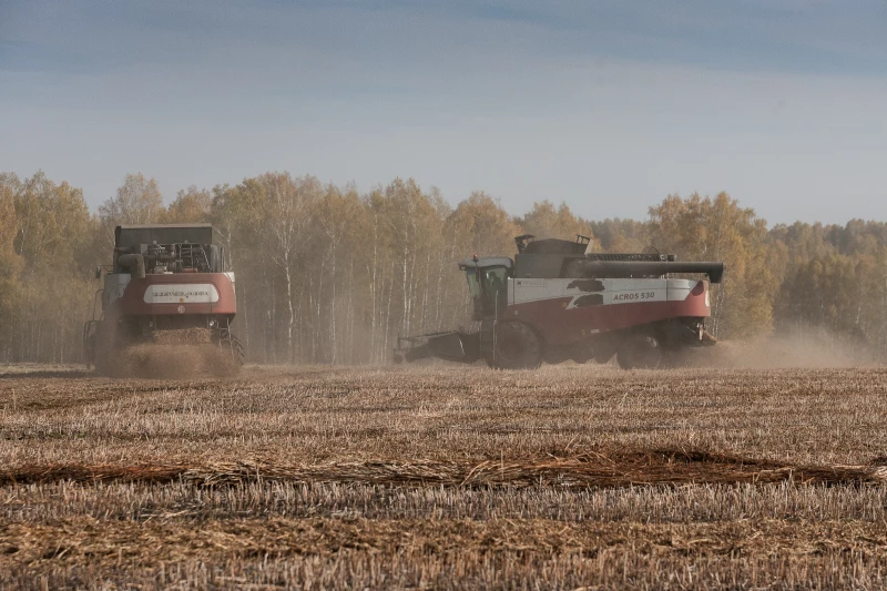 Инвестиции в пищевую промышленность Алтая