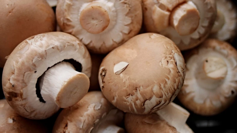 Инвестиционные проекты Алтайского края