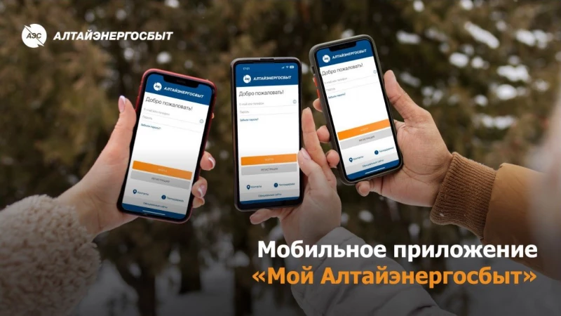 Оплата электроэнергии без комиссии: личный кабинет «Алтайэнергосбыт»