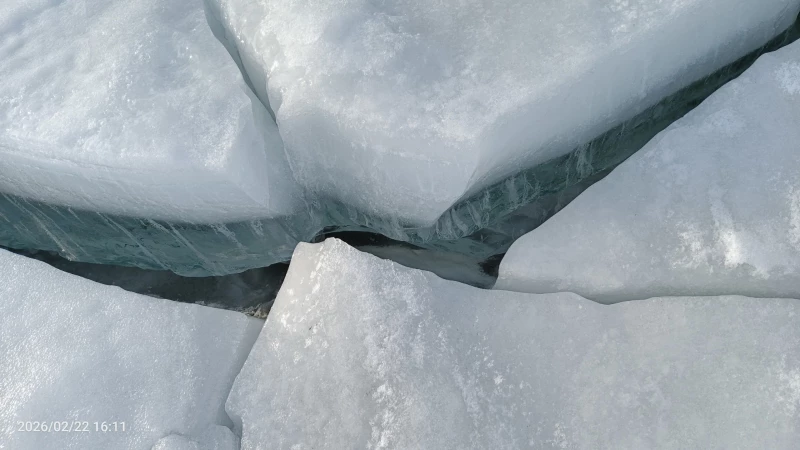 Рыболовные трофеи Алтая