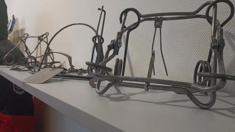 «Тонар»: новые горизонты производства