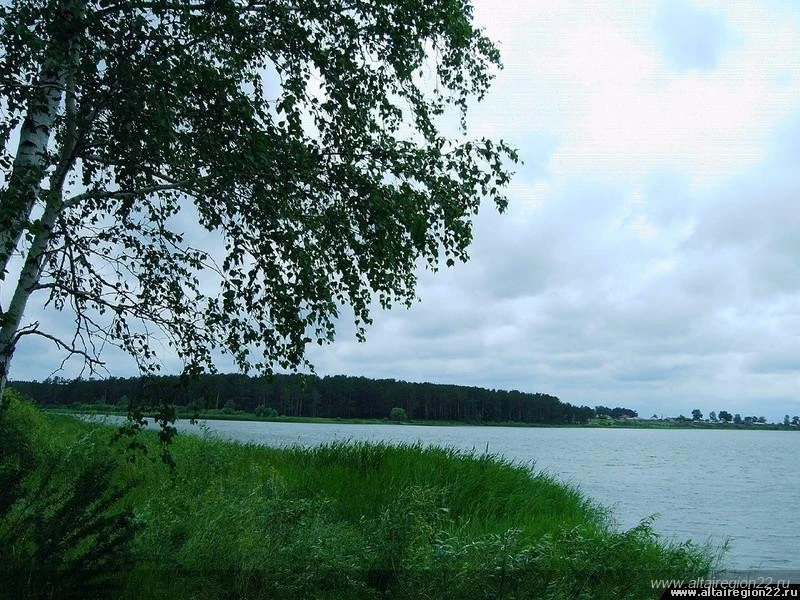 Продажа деревни Веселуха в Беларуси