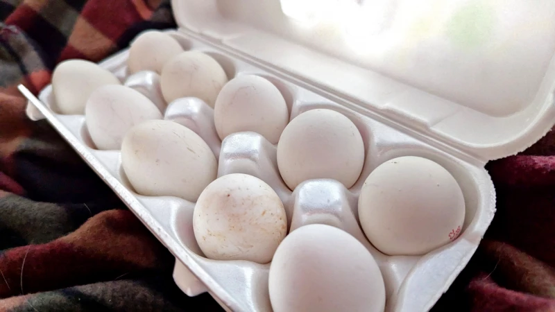 Цены на яйца в России: рейтинг городов