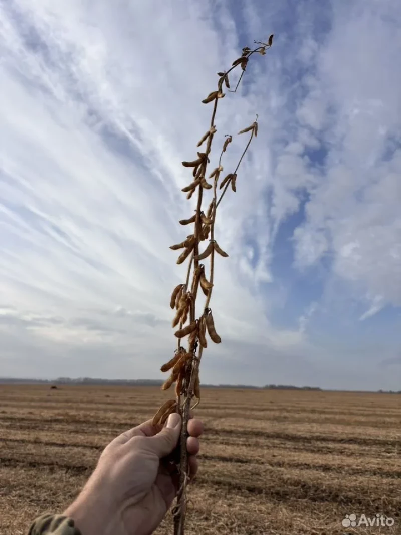 Продажа агробизнеса в Барнауле за 230 млн рублей