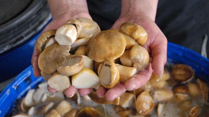 Перемены в бизнесе Барнаула 2026