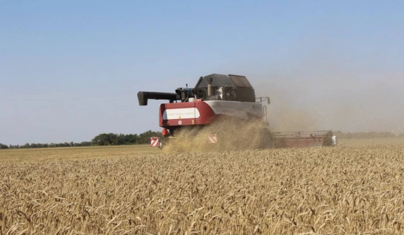 ГМО: споры, технологии, регулирование