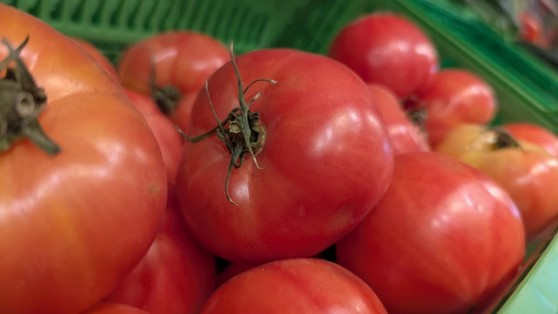 Запрет ввоза томатов из Казахстана в Алтайский край
