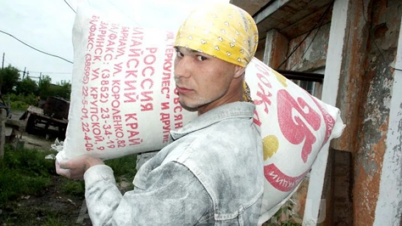 Мукомольная отрасль Алтая: проблемы и перспективы