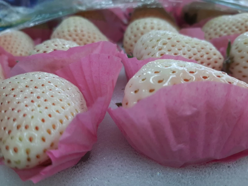 Весенний ассортимент фруктов и ягод