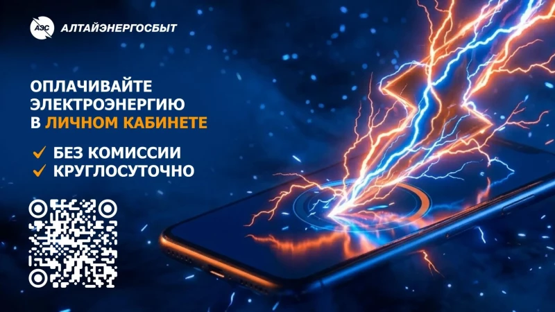 Оплата электроэнергии: советы «Алтайэнергосбыт»