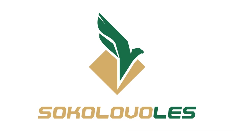 SOKOLOVOLES: 10 лет успеха