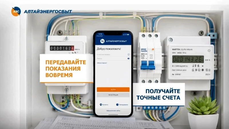 Передача показаний «Алтайэнергосбыт»: способы