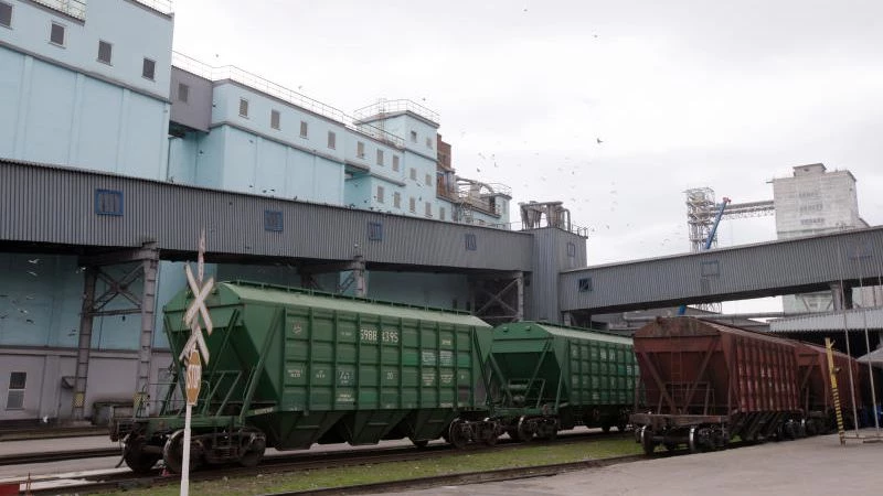 РЖД повышает эффективность перевозок зерна