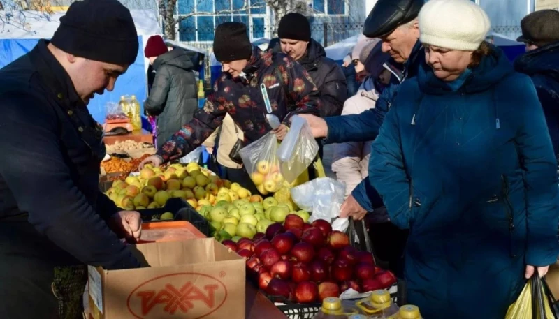 Ярмарки в Барнауле: итоги и планы